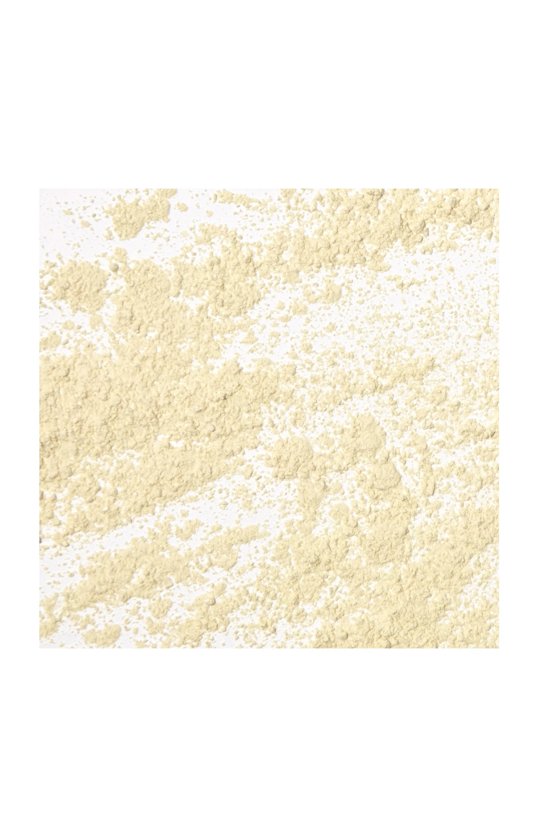 Blemish Repairing Powder - Poudre Asséchante Anti-Imperfections - 14 g - Image 2