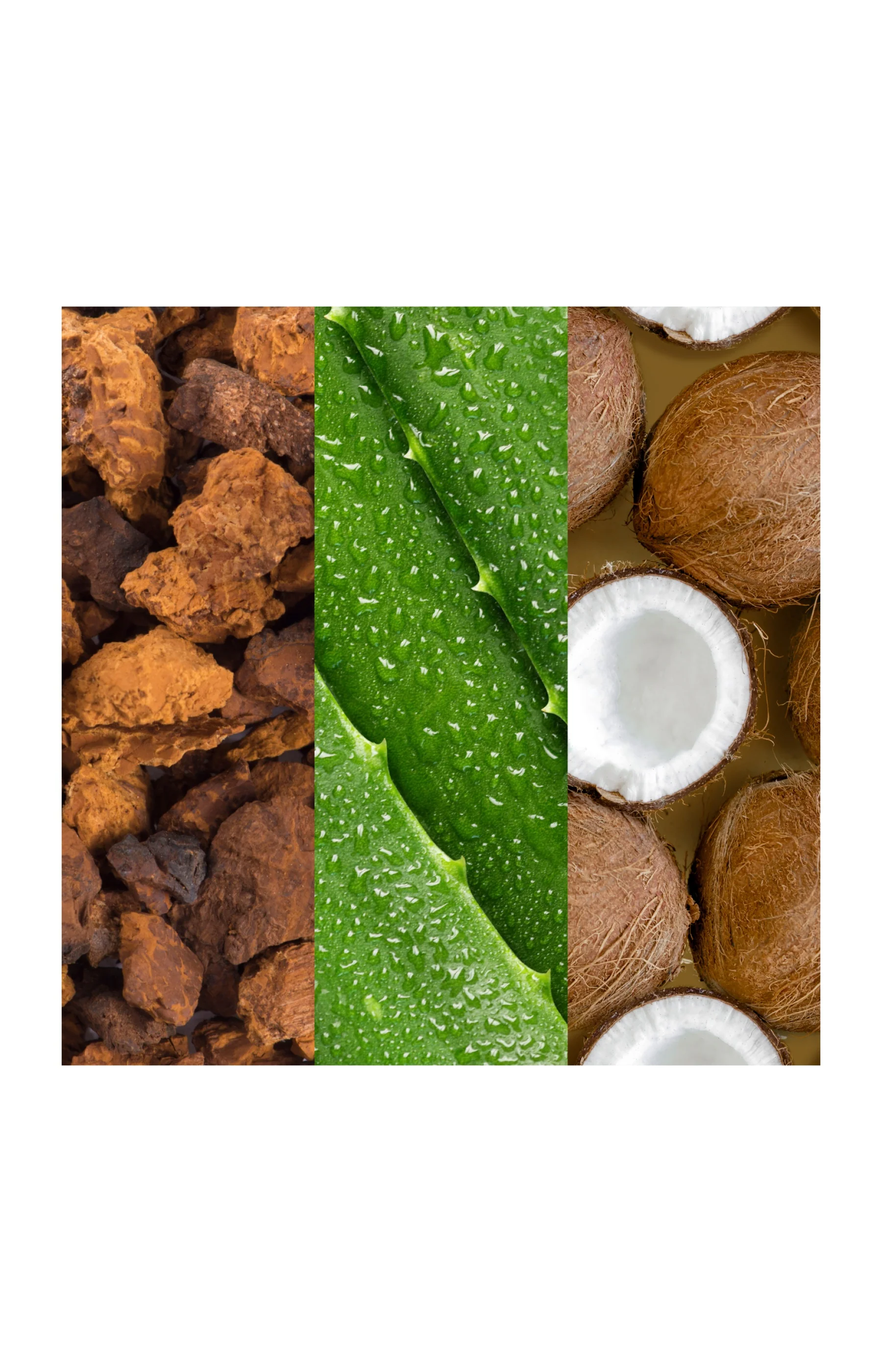 Brume rafraîchissante - Aloe vera & eau de coco - 236 ml - Image 4
