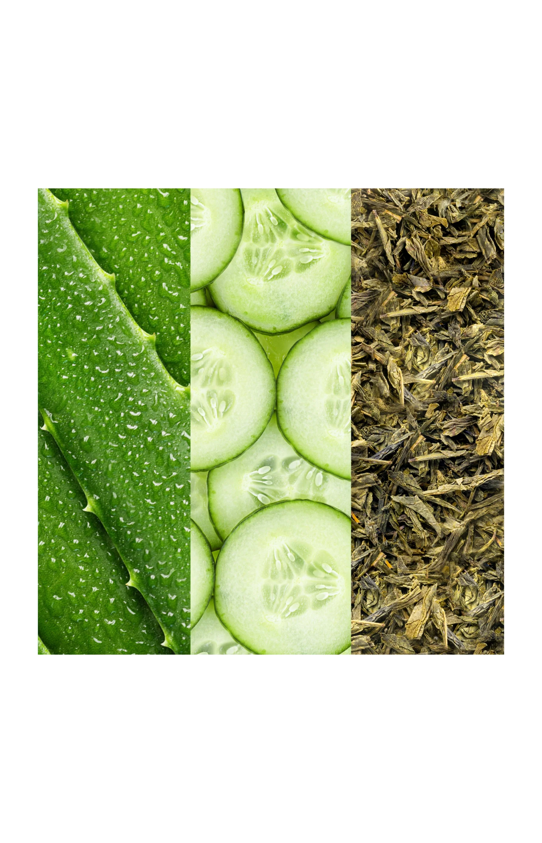 Brume hydratante & revitalisante - Aloe vera & concombre - 236 ml - Image 5