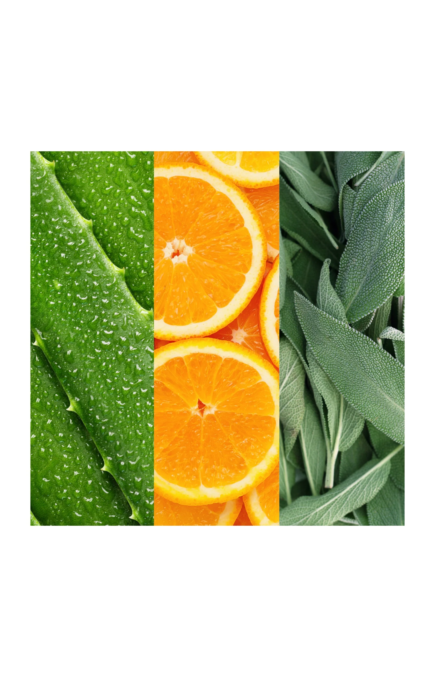 Brume tonifiante & purifiante - Aloe vera & fleur d'oranger - 236 ml - Image 4