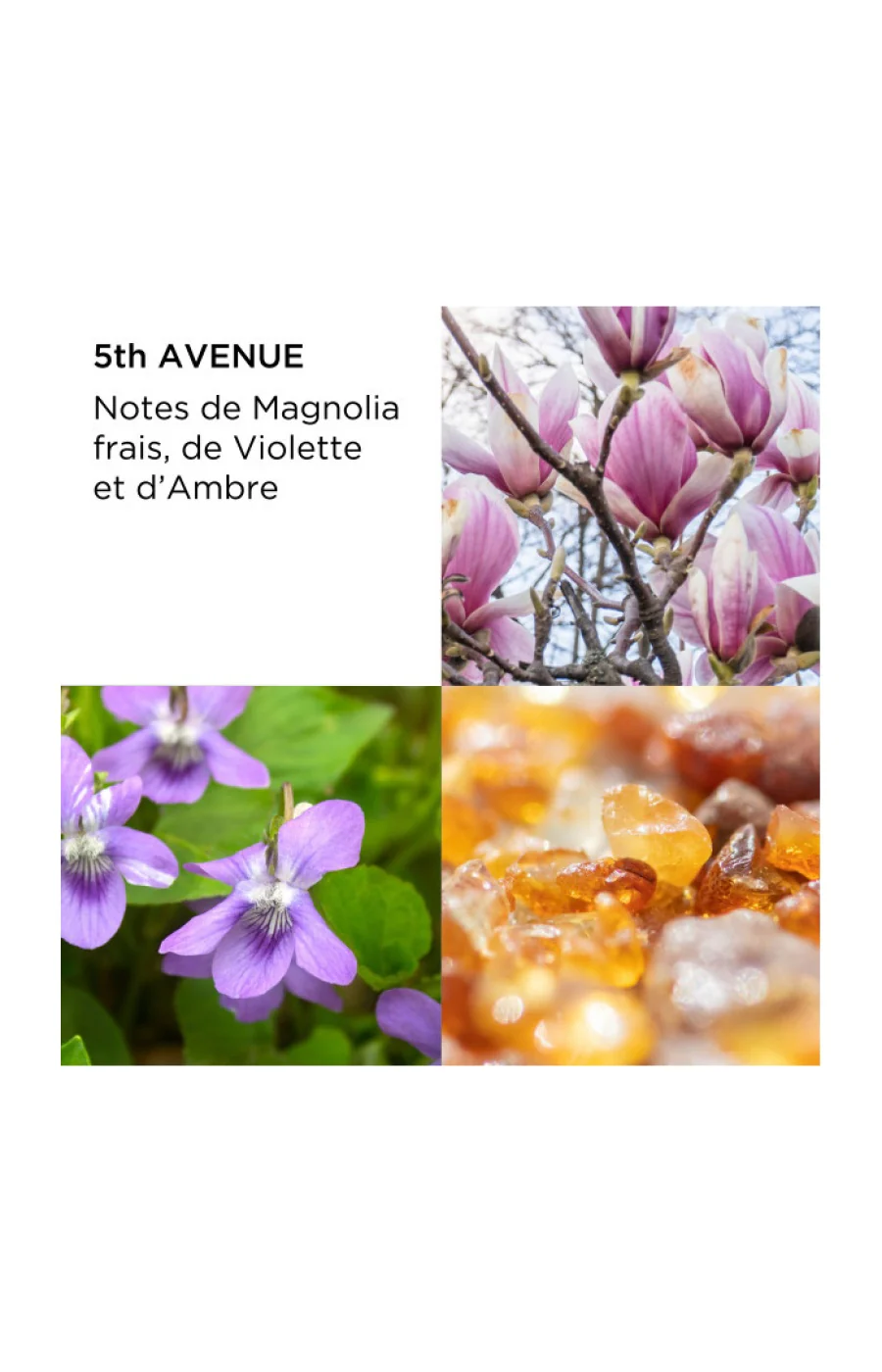 Coffret 5th Avenue Eau de Parfum - Fruité floral - 3 produits - Image 3