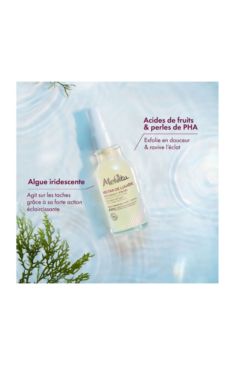 Exfoliant activateur d'éclat - Nectar de lumière - 50 ml - Image 4