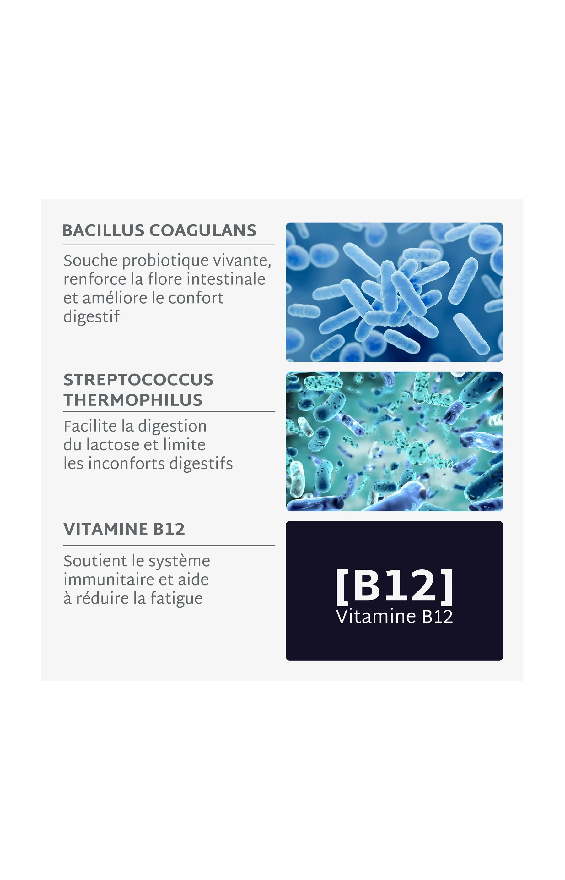 Gummies inconforts digestifs - Probiotiques - Sans sucres - Mûre - 21 jours - Image 9