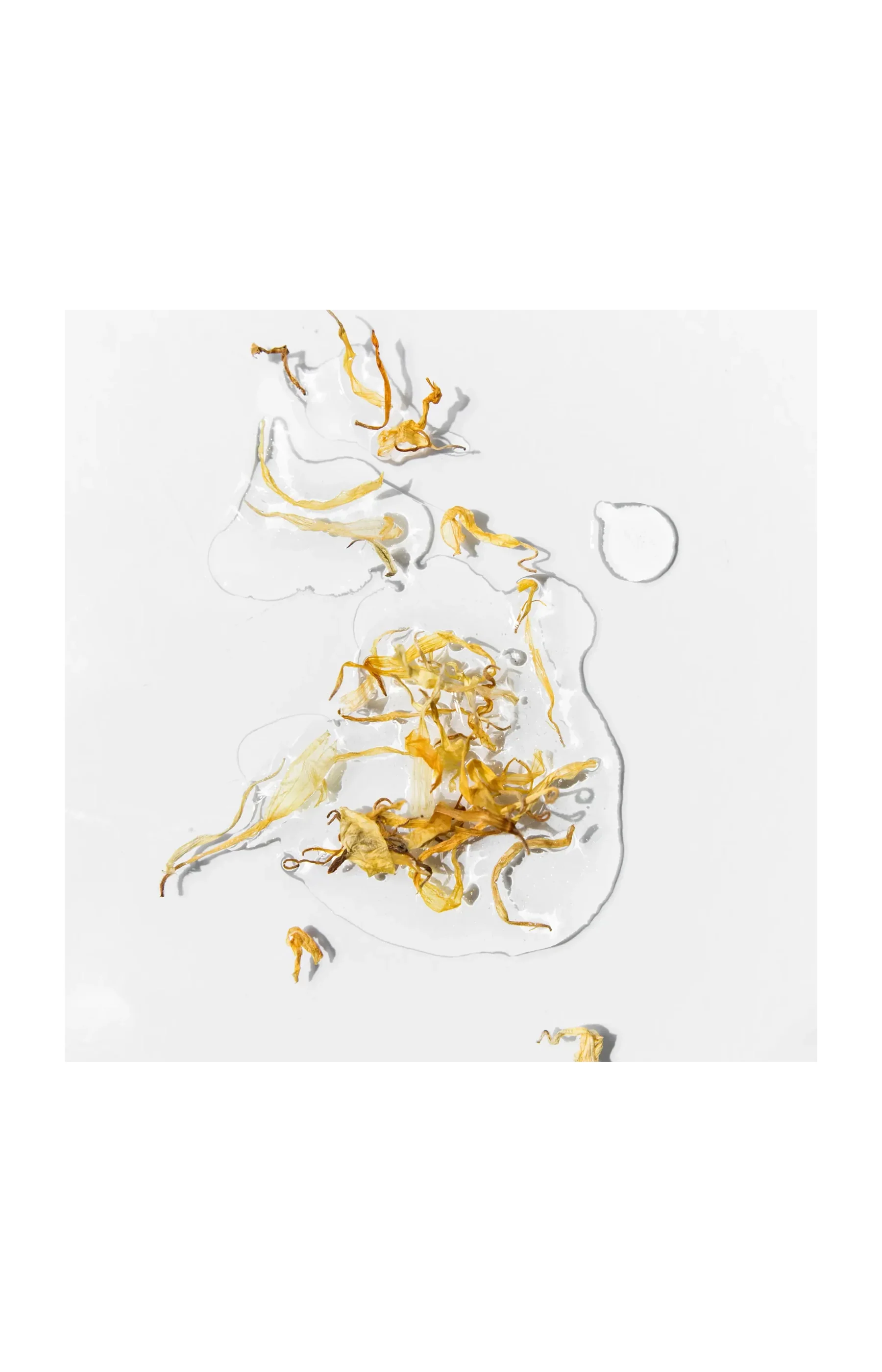 Huile nourrissante - Calendula - Corps & cheveux - 50 ml - Image 4