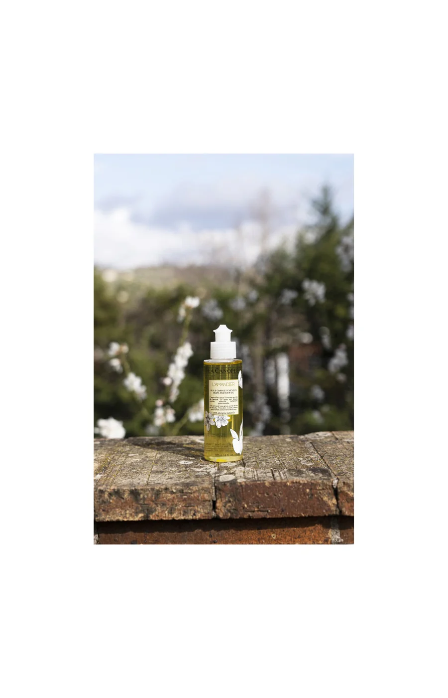 Huile nourrissante - L'Amandier - Corps & cheveux - 120 ml - Image 2
