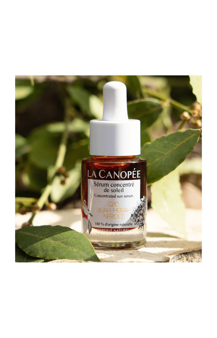 Sérum concentré de soleil - Q10, buah merah & néroli - Visage - 15 ml - Image 2