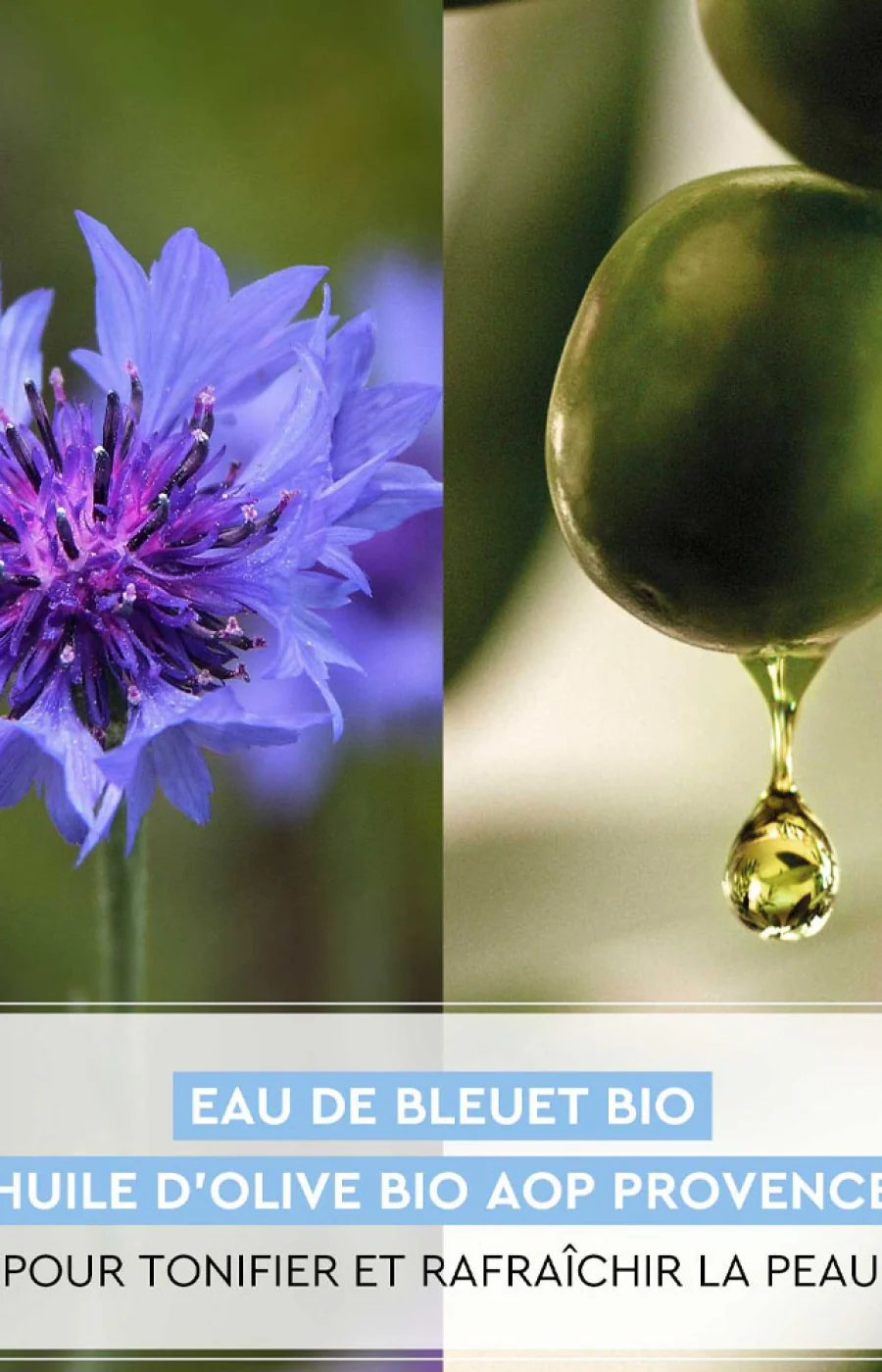 Gel-crème radieux 24h - Huile d'olive bio & extrait de bleuet - Peaux normales à mixtes - 50 ml - Image 3