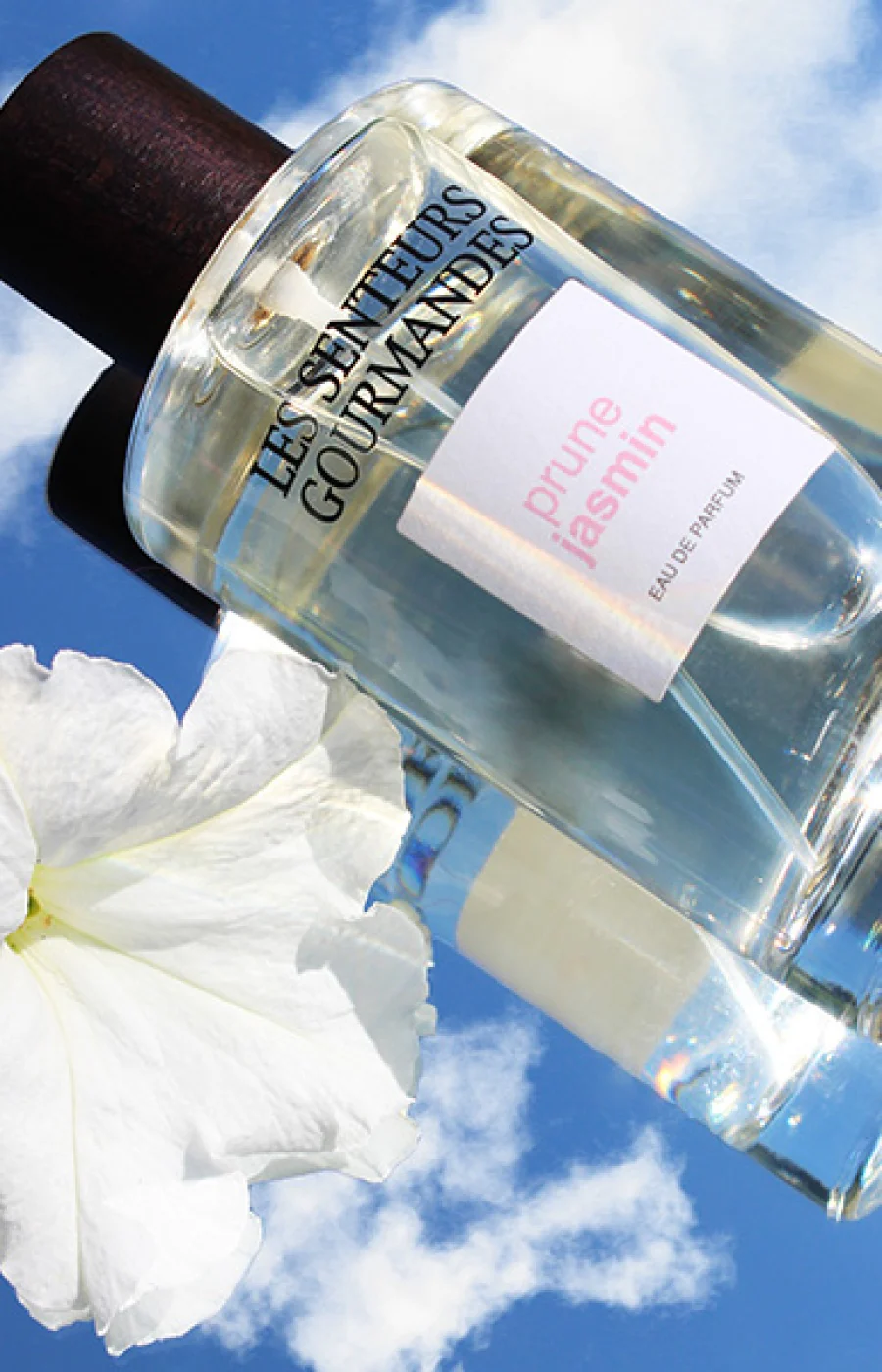 Prune Jasmin Eau de parfum - Floral - Image 3