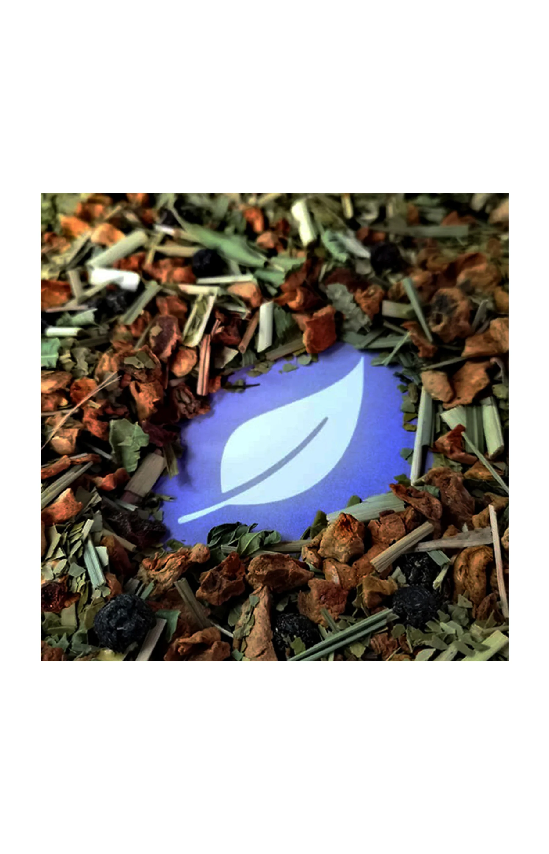 Maté myrtille menthe bio - 150 g - Image 2