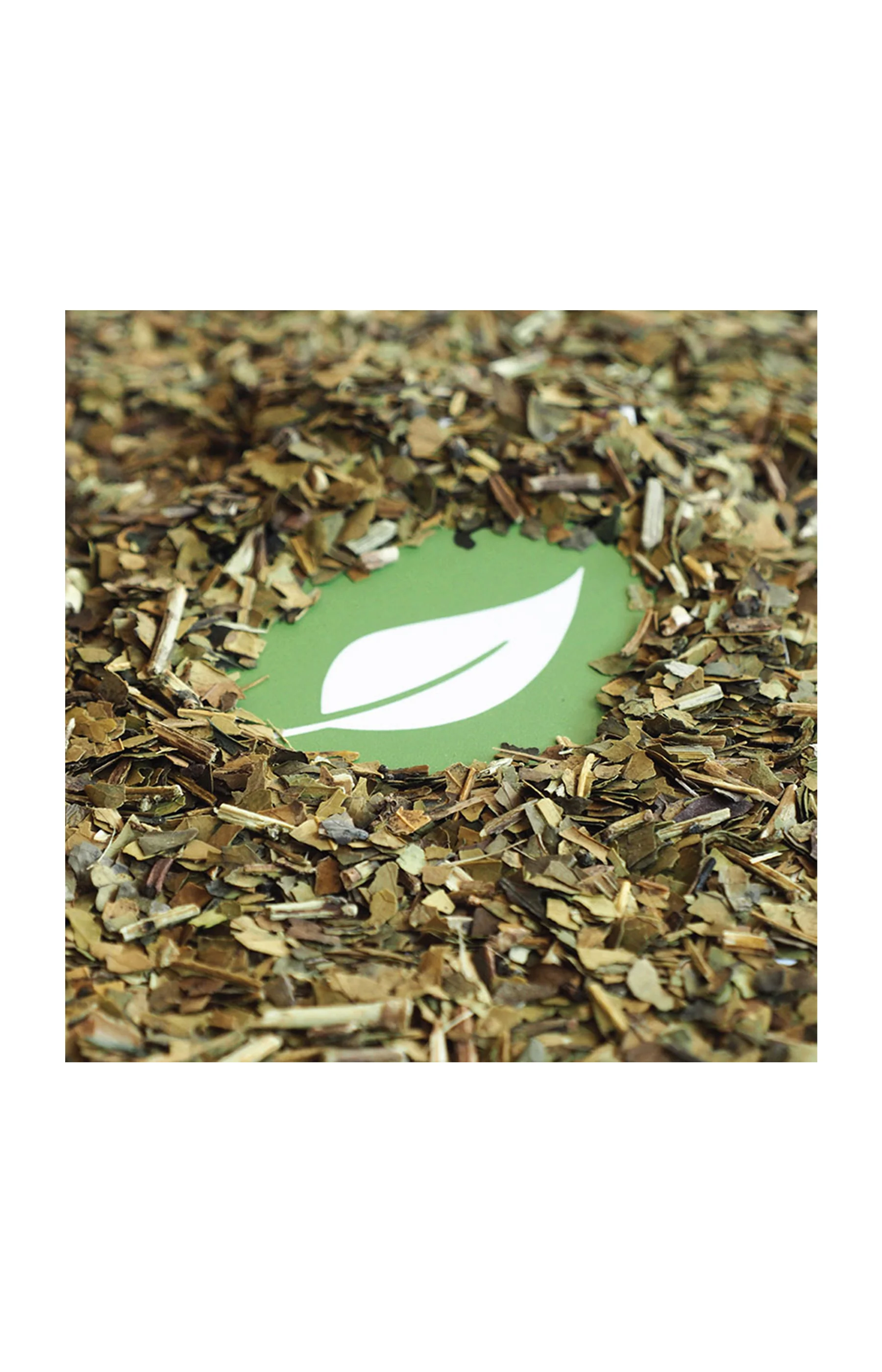 Maté vert bio - 150 g - Image 3