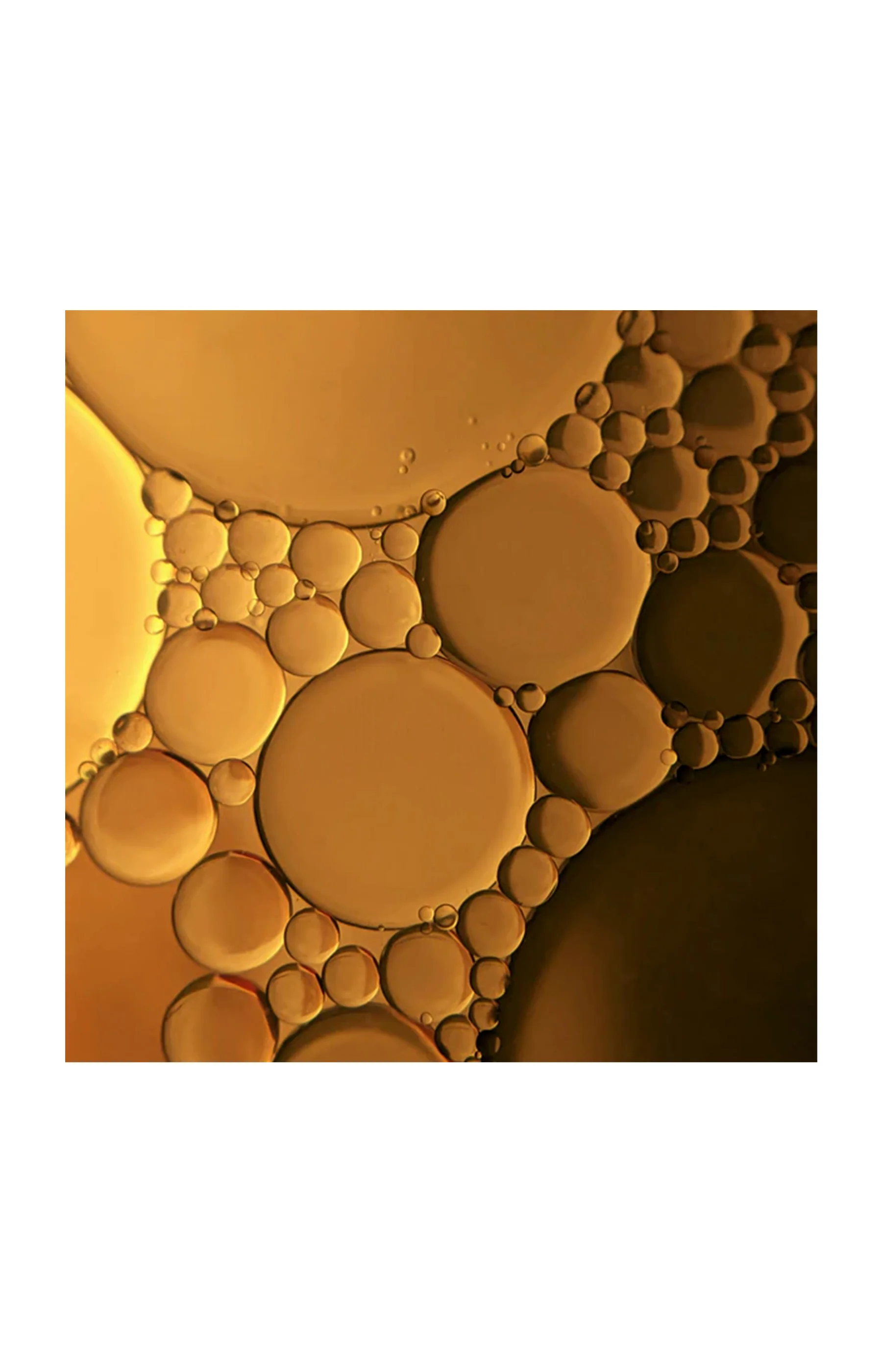 Huile régénérante - Visage - 30 ml - Image 6