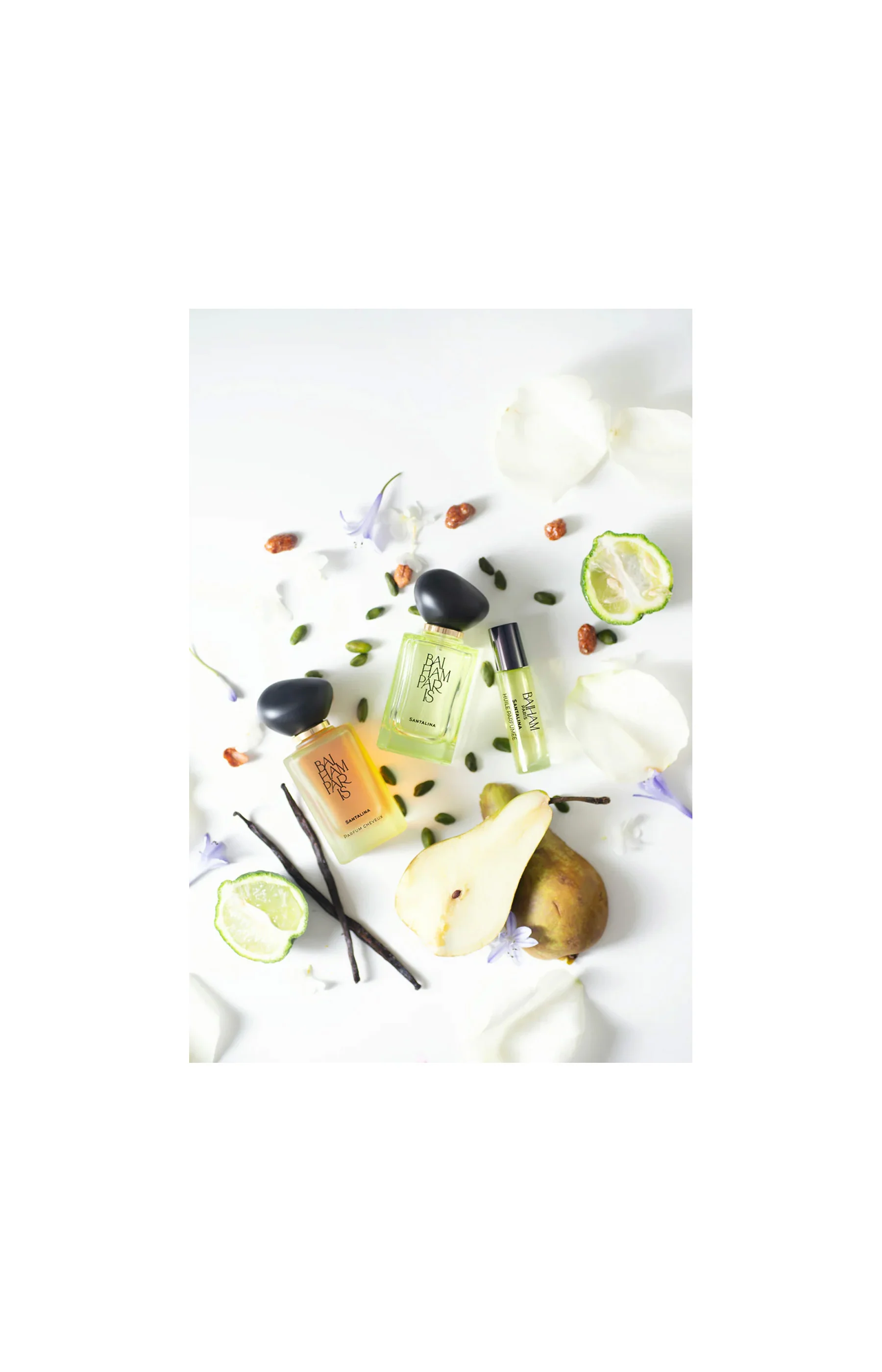 Parfum cheveux - Santalina - Pistache & violette - Image 2