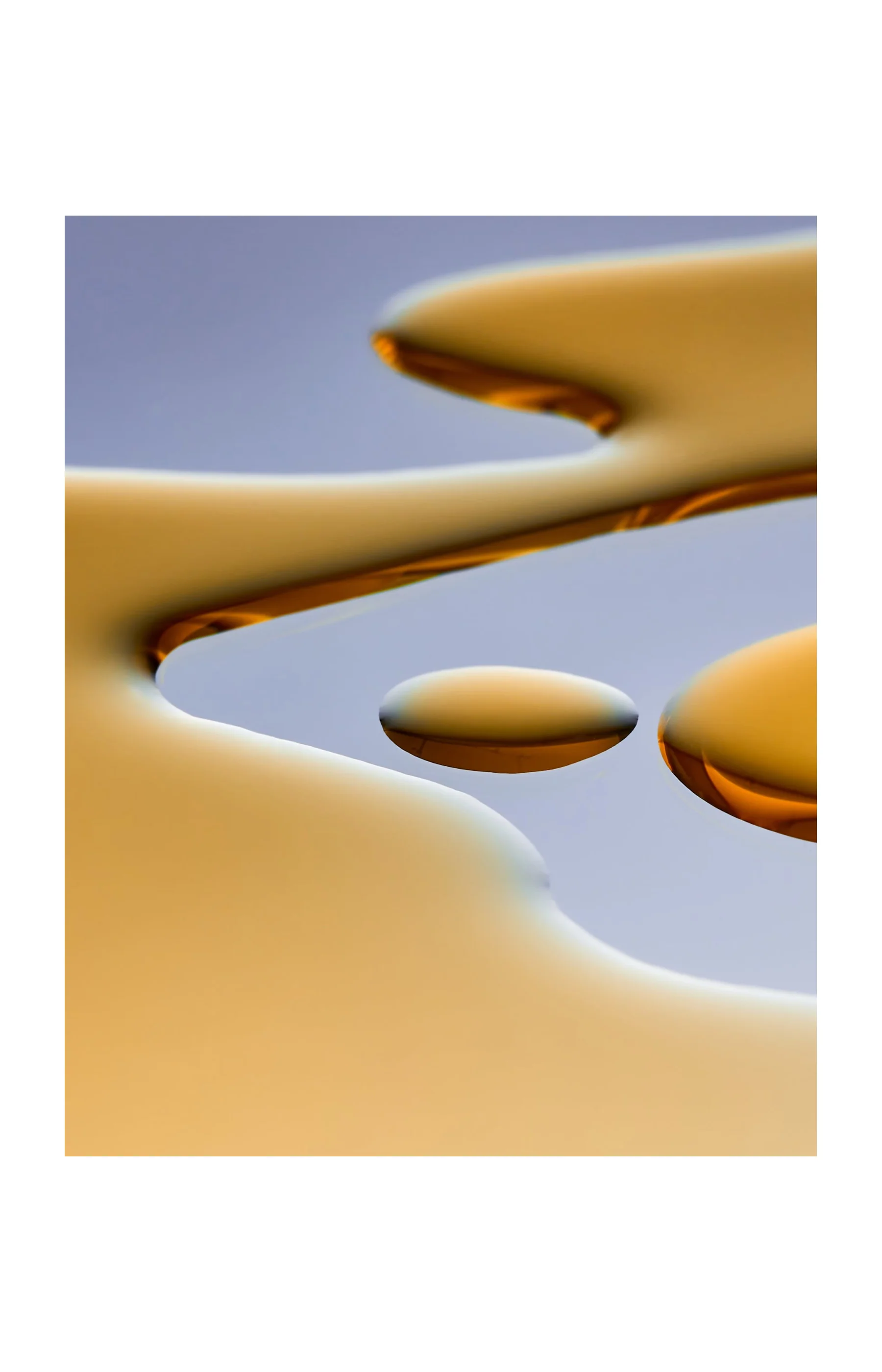 Huile raffermissante - Bakuchiol - 30 ml - Image 3