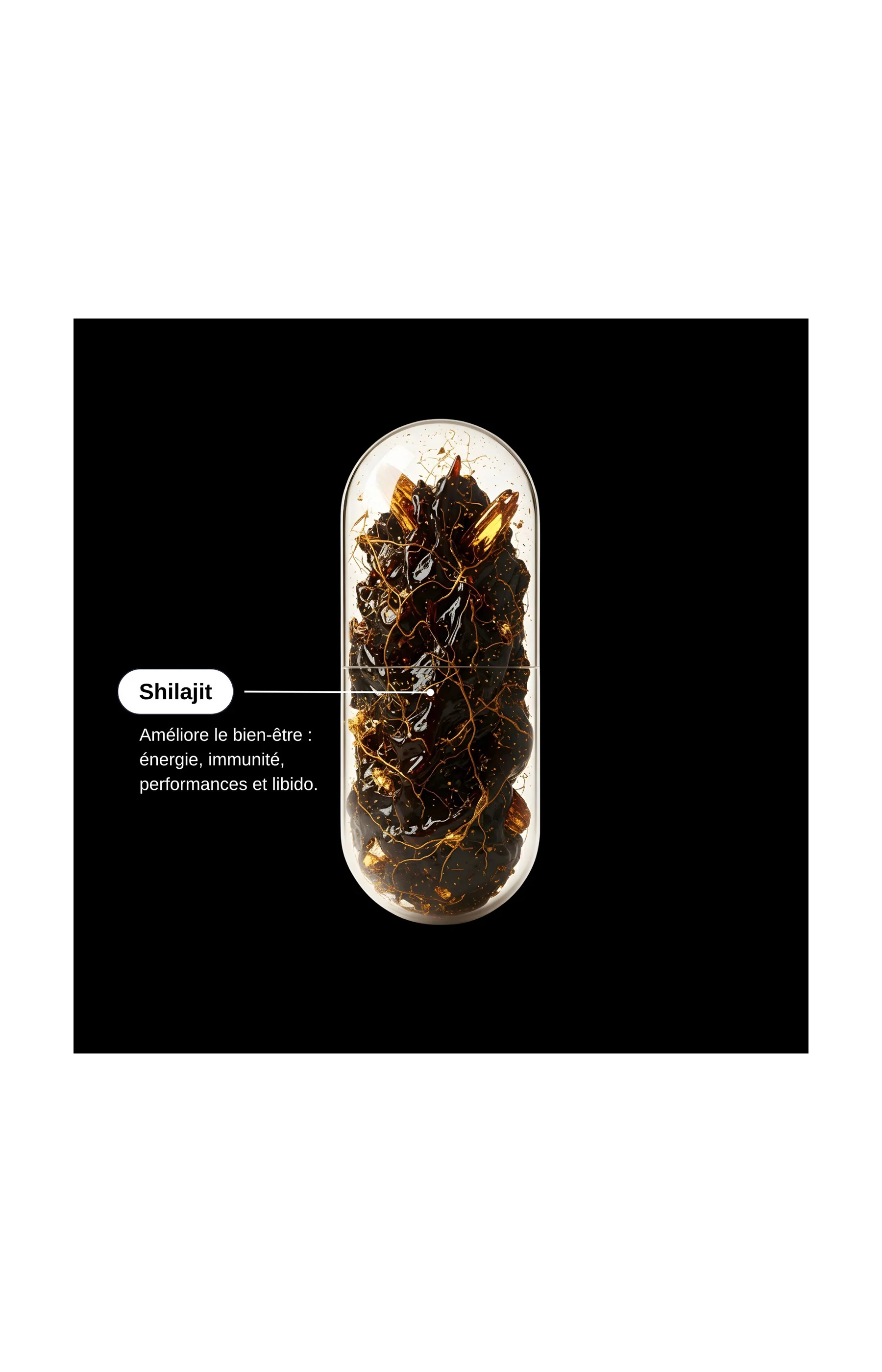 Shilajit Himalaya - Energie - 1 mois - Image 4
