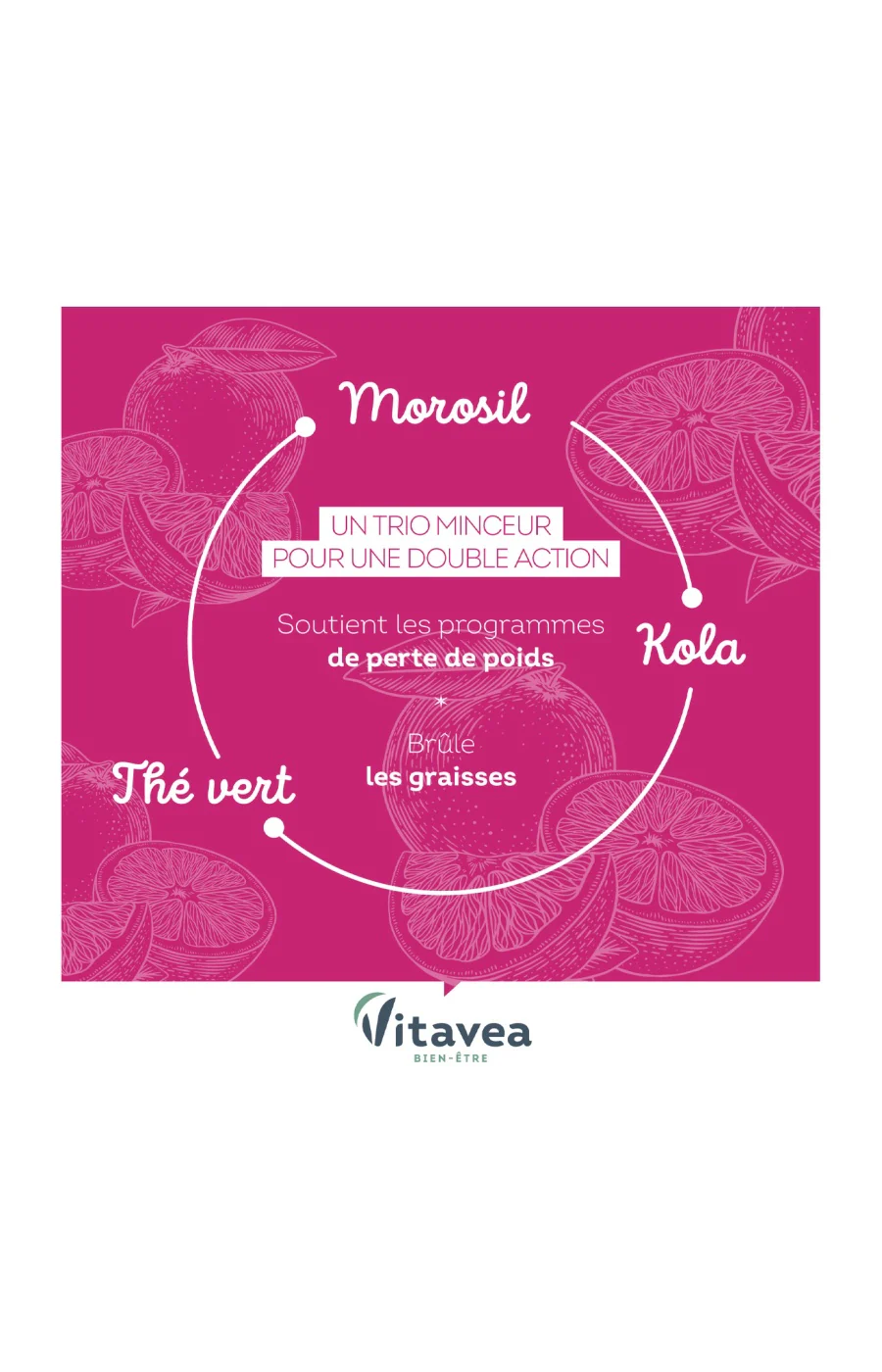 Cure minceur & brûle graisse - Morosil & thé vert - 20 jours - Image 4