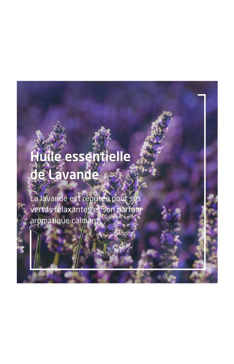 Bain relaxant - Lavande - 200 ml - Image 3