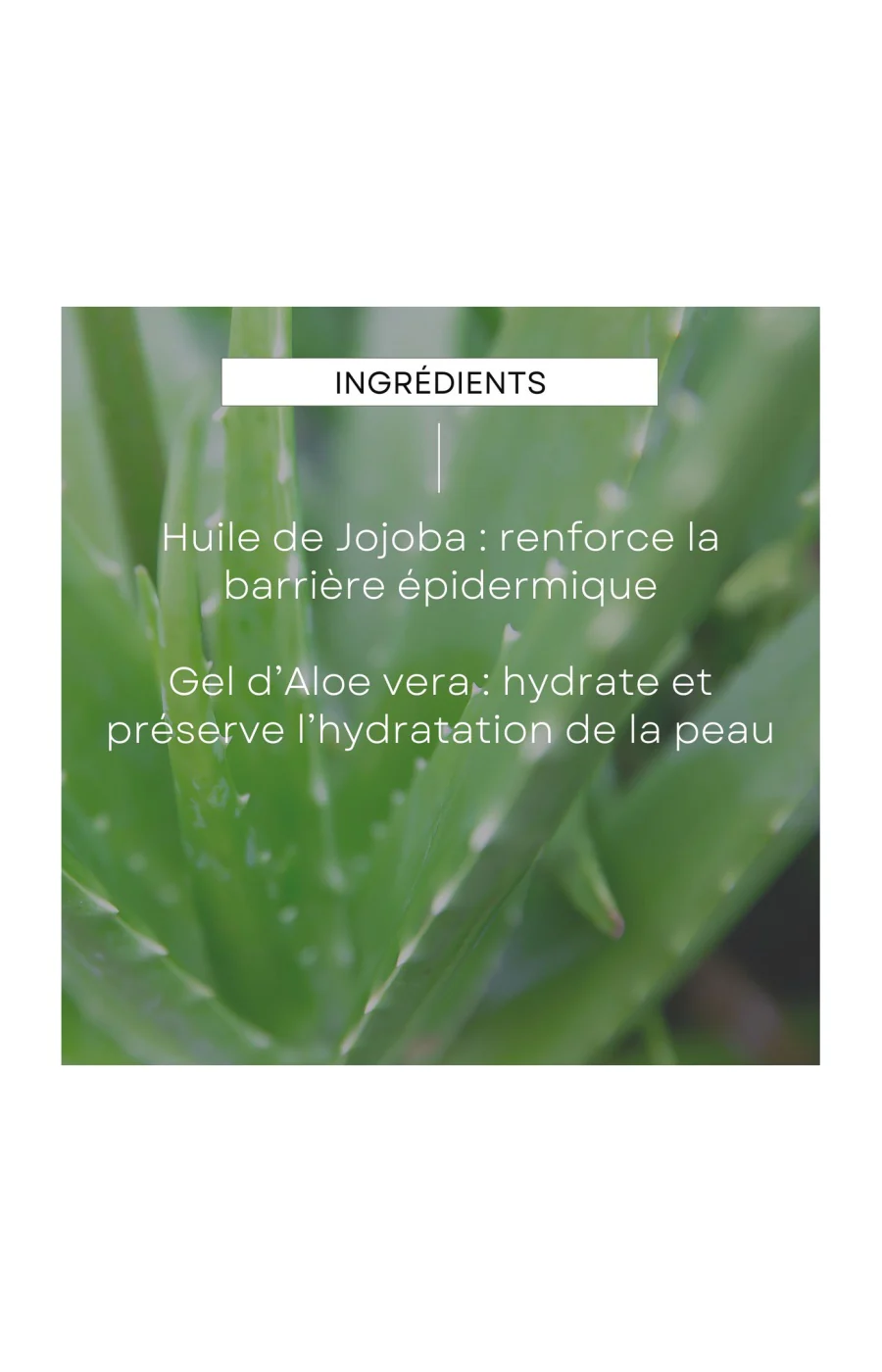 Baume après-rasage - Homme - 100 ml - Image 3