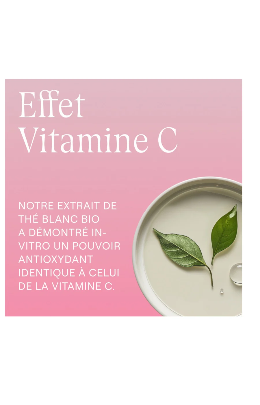 Crème de nuit lissante - Rose musquée & thé blanc - Peaux matures - Image 4