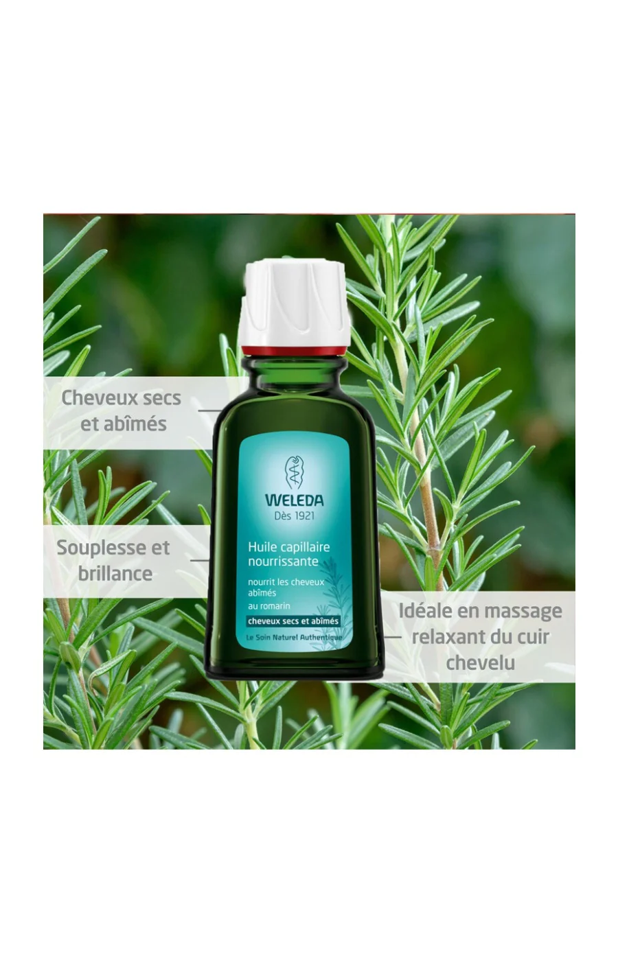 Huile nourrissante - Romarin - Cheveux - 50 ml - Image 2