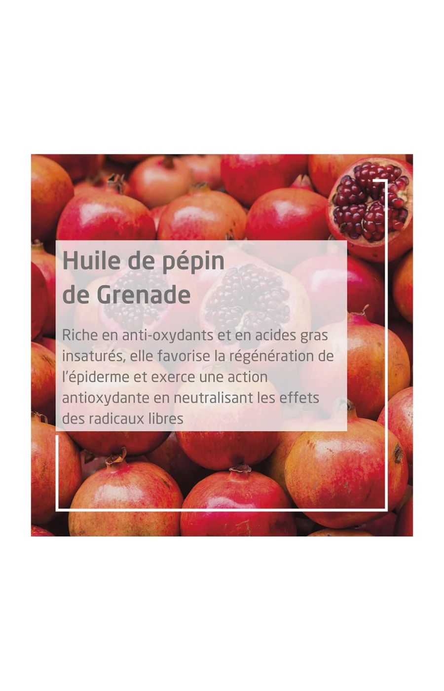 Huile régénératrice - Grenade - Peaux matures - 100 ml - Image 3
