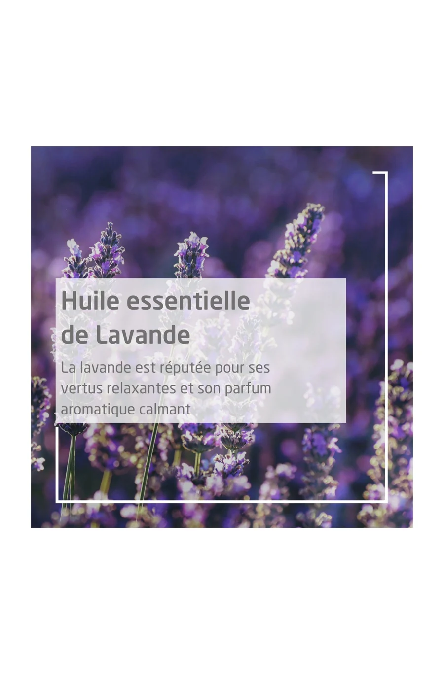 Huile relaxante - Lavande - Corps - 100 ml - Image 3