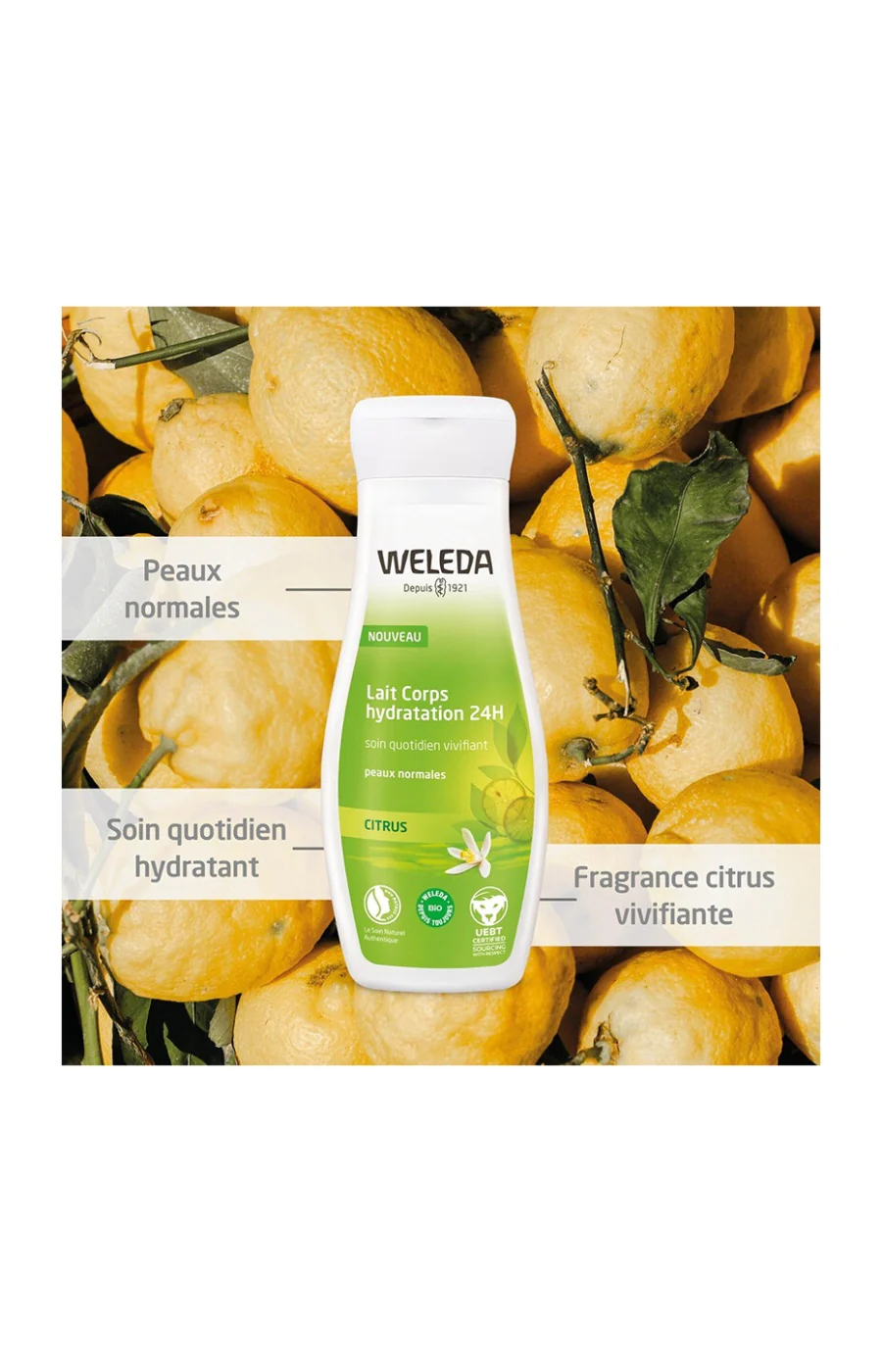 Lait hydratation 24h bio - Citrus - Peaux normales - 200 ml - Image 2